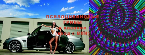 ПСИЛОЦИБИНОВЫЕ ГРИБЫ Покровск