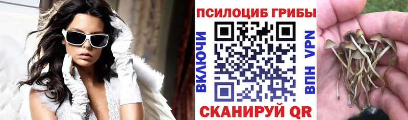 Галлюциногенные грибы Cubensis Кольчугино