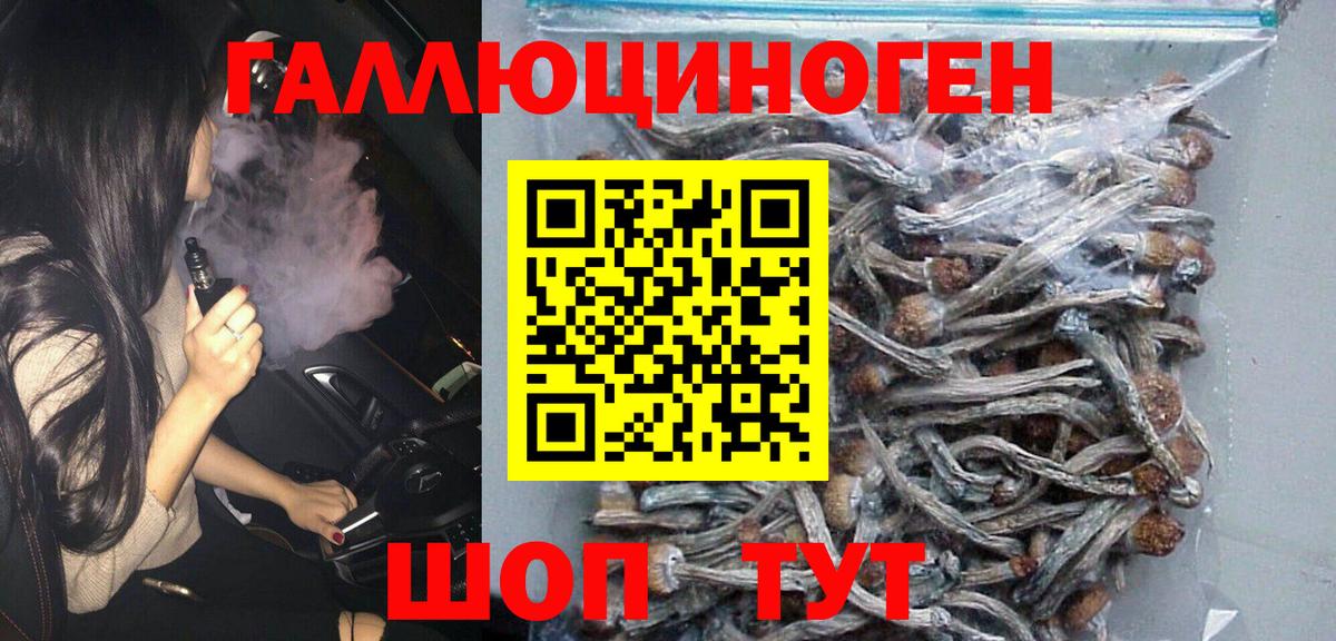 Псилоцибиновые грибы MAGIC MUSHROOMS  Вход с VPN  Кольчугино 