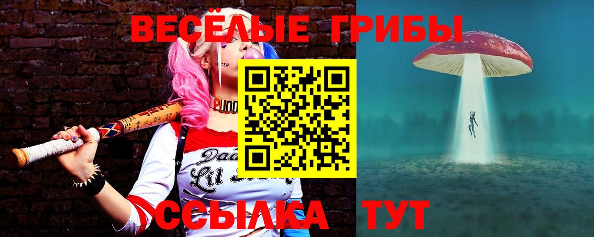 Галлюциногенные грибы мицелий Кольчугино